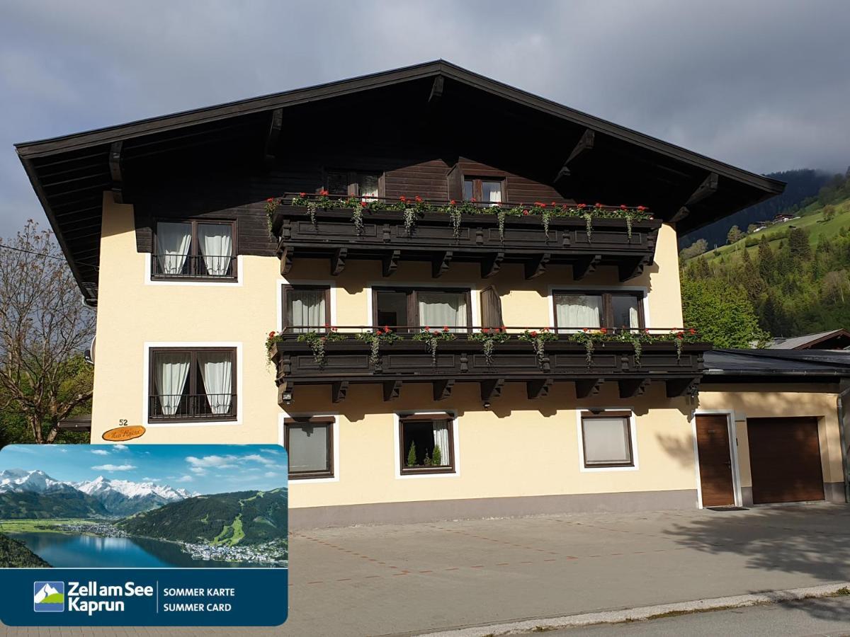Alpina Apartments - Zell Am See Bagian luar foto